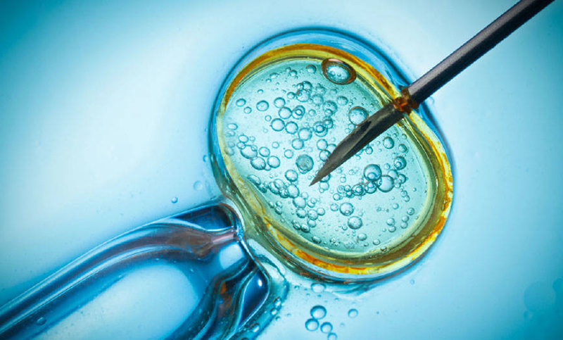 Polémica en China por el nacimiento de bebés modificados genéricamente