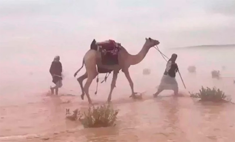 Impactantes imágenes: el desierto se convirtió en un mar en Arabia Saudita