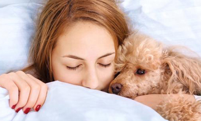 Estudios científicos revelan que las mujeres disfrutan más al dormir con perros que con sus parejas