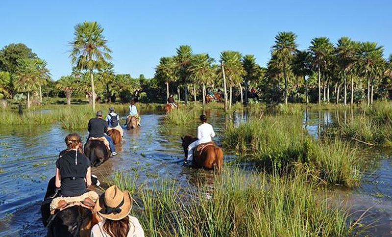 Piden a los diputados que no voten la creación del Parque Nacional Iberá