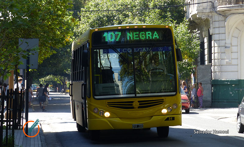 Evalúan agregar una cuota de patente automotor para financiar el transporte