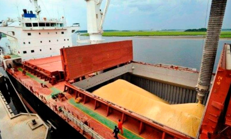 Por qué hay más de 20 buques esperando para descargar soja en Argentina
