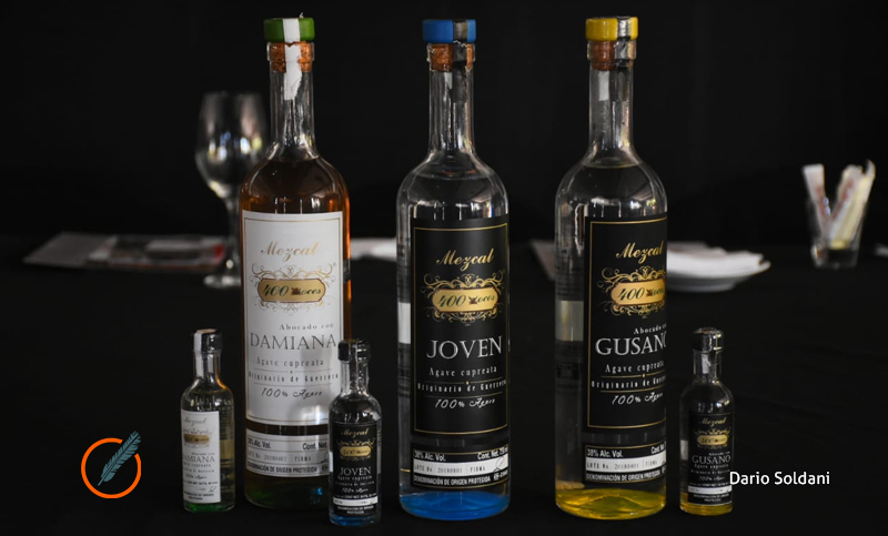 Llegó el mezcal a Rosario y esperan sea un generador de fuentes de trabajo