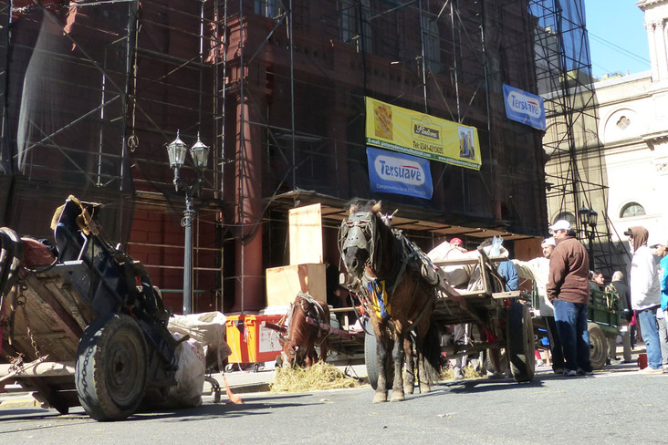 Victoria Clerici: “Sin cartoneros no hay basura cero”