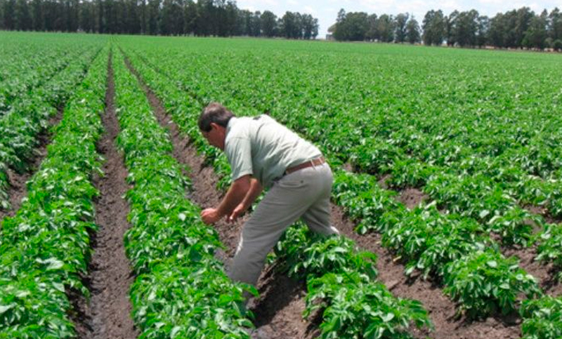 Federación Agraria: «La suba de costos y la falta de financiamiento hizo de 2018 un año muy complejo»