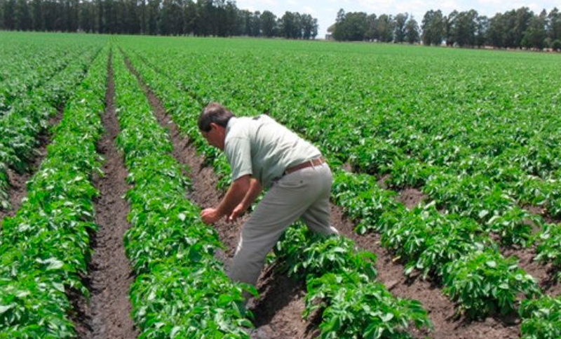 Para la Federación Agraria, con este modelo “los productores no tienen salida”