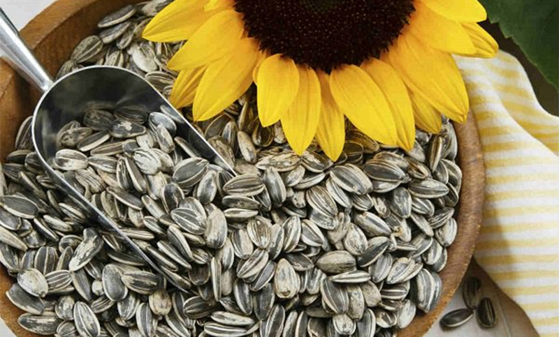 Anmat prohibió la venta de unas semillas de girasol y tres snacks