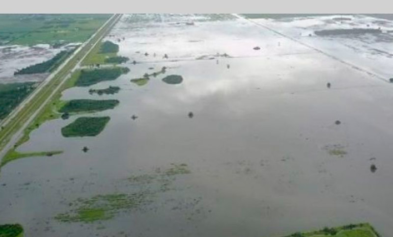Santa Fe: 500 familias permanecen aisladas en campos inundados al norte de la provincia