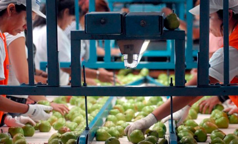 La Uatre acordó hoy una mejora salarial del 42% para cosecheros de la fruta del Valle de Río Negro