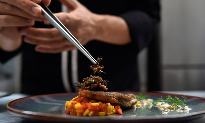 Comer insectos: una tendencia gourmet que crece en Europa y se acerca cada vez más a Argentina