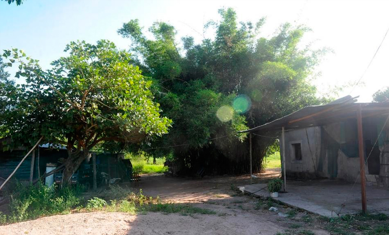 Mató de un escopetazo a su abuelo cuando maltrataba a su abuela