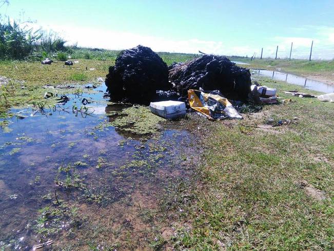 Las aguas del Paraná en riesgo por un nuevo ecocidio en Arroyo Leyes