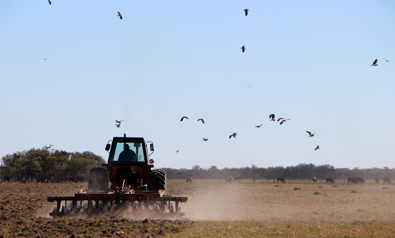 Altos tributos en el norte argentino elevan los costos de productores