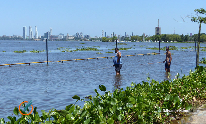 El río sigue creciendo y se acerca a los niveles de evacuación