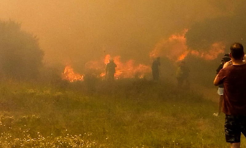 Alarma en Villa Gesell por gran incendio forestal