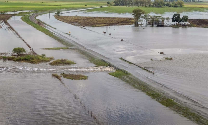 Ciciliani advirtió que la situación en Santa Fe «está muy complicada» por las inundaciones