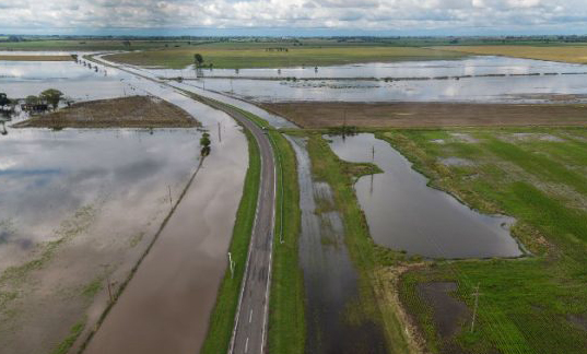 Aseguran que comienza a bajar el agua en algunas zonas de la provincia