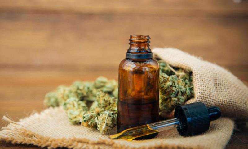 Habilitan el primer centro productor de cannabis medicinal del país