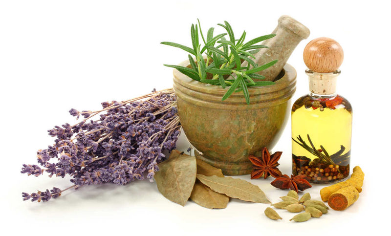 Hierbas medicinales: una buena alternativa ante el desmedido uso de fármacos