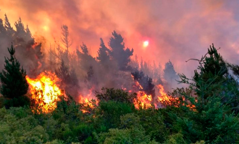 El incendio en Epuyén está fuera de control y afecta más de 1500 hectáreas