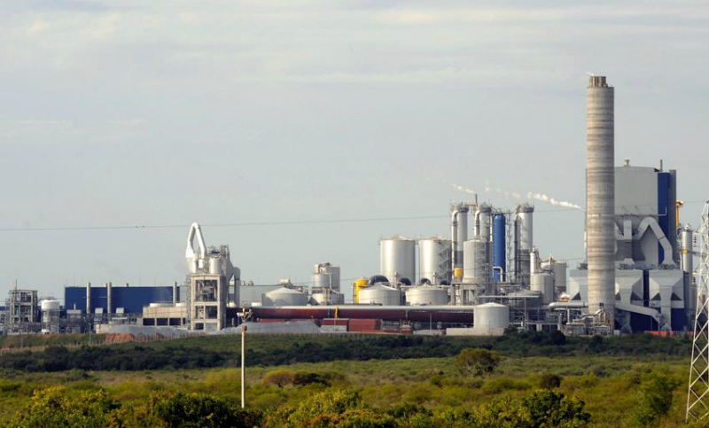 Uruguay ratificó la instalación de una cuestionada papelera