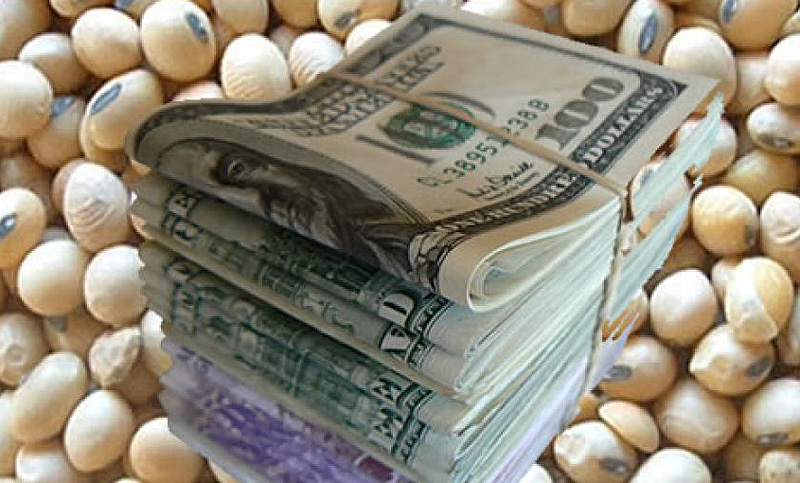 Advierten que si el campo no vende rápido la producción, puede haber una fuerte escalada del dólar