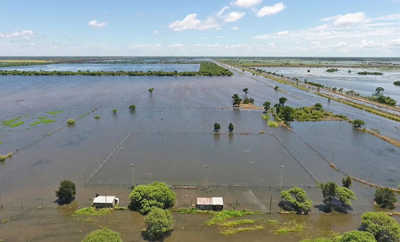 Declararon la emergencia agropecuaria para Santa Fe y tres provincias más
