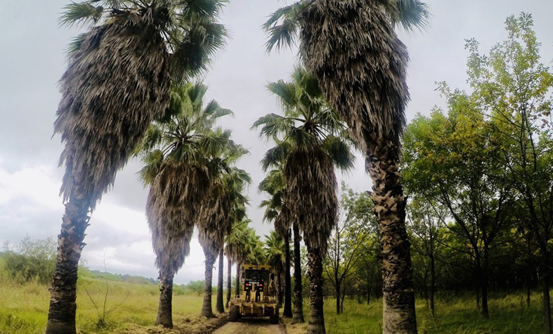 Iniciaron las obras en el Bosque de los Constituyentes y comenzó la remodelación