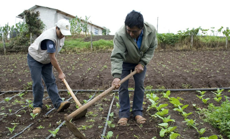 La brecha de precios entre productor y consumidor se redujo un 5%