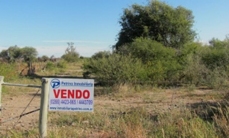 La crisis paralizó la venta de campos