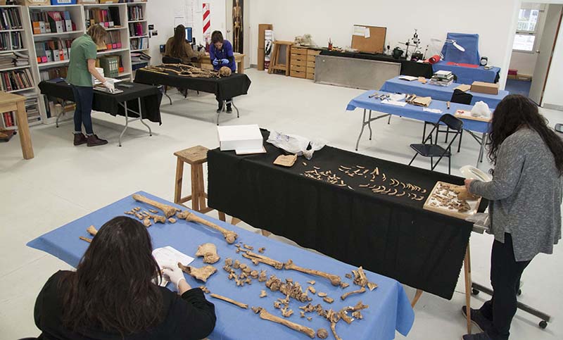 El equipo de antropología tiene en custodia a 600 cuerpos y busca familiares de desaparecidos