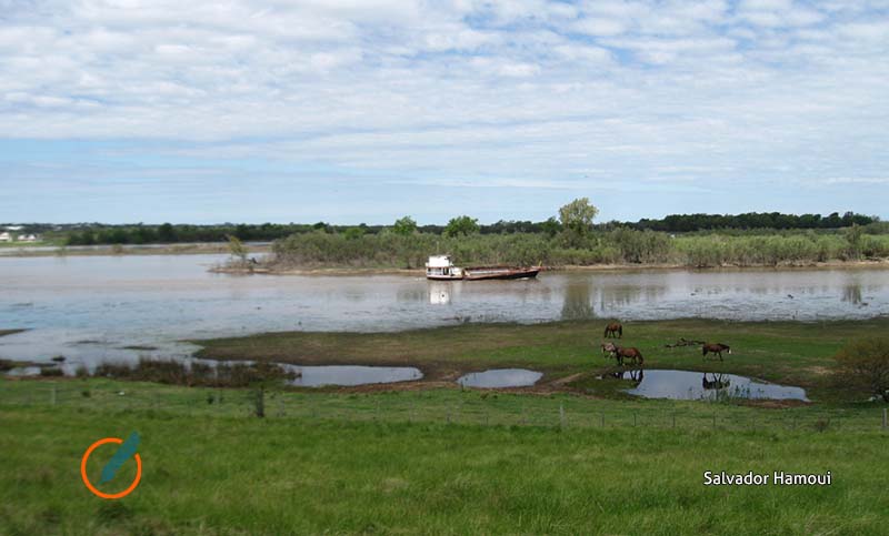 Un hombre murió tras recibir un balazo en la zona de las islas del Paraná