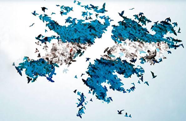 ¡Porque son nuestras, son argentinas!