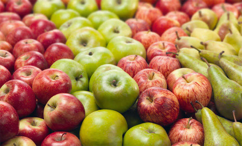 Acuerdo entre Argentina y Brasil para retomar el comercio de peras y manzanas