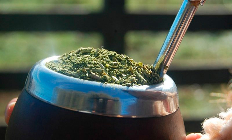 Yerba mate: en febrero se consumieron tres millones de kilos más que en el mismo mes del año pasado