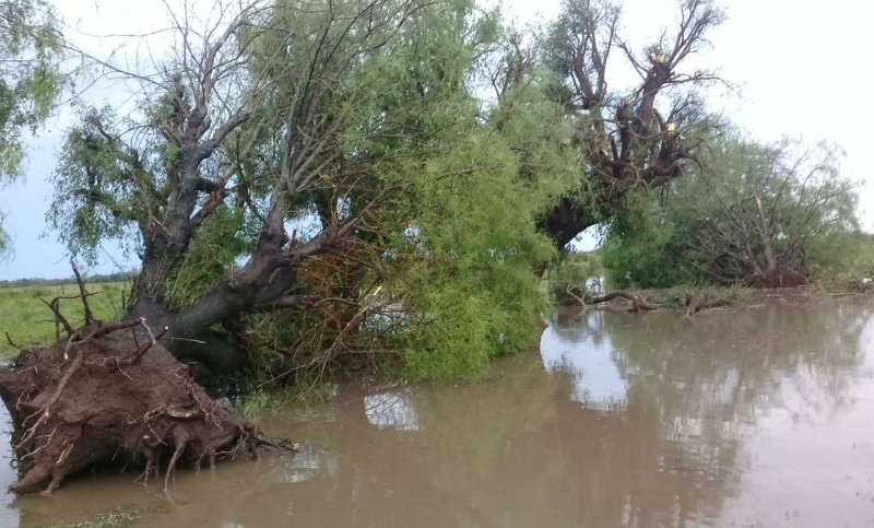 Evacuaron a más de 200 familias afectadas por inundaciones en Santiago del Estero