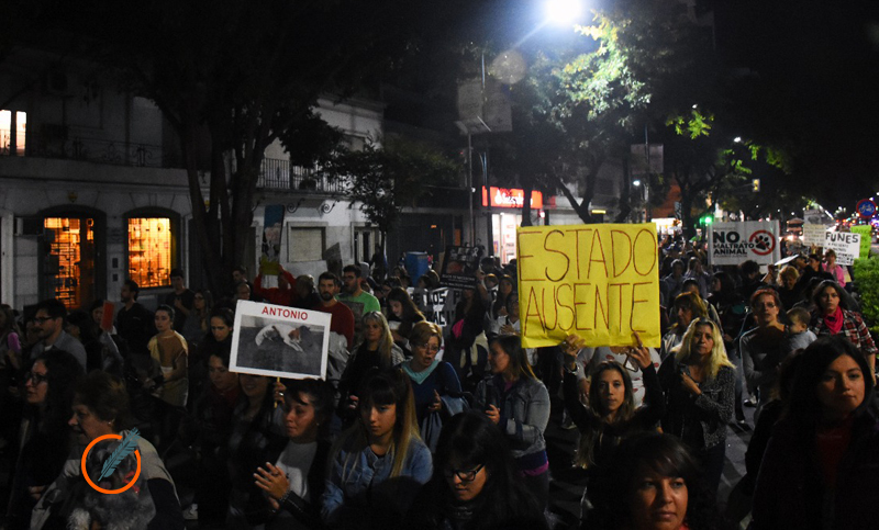 Enérgico repudio al maltrato animal en Rosario