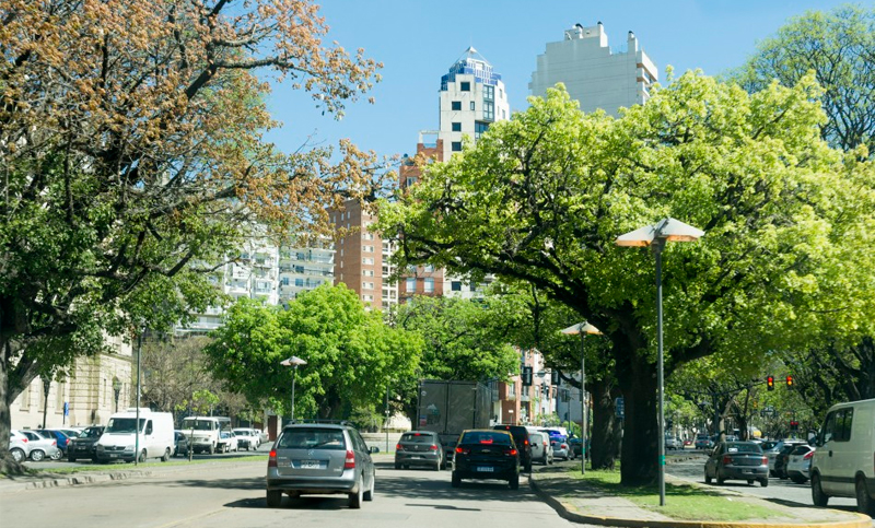 Rosario va por el millón de árboles: hoy regalan ejemplares en la Plaza Buratovich