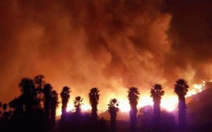 incendio en Corea del Sur