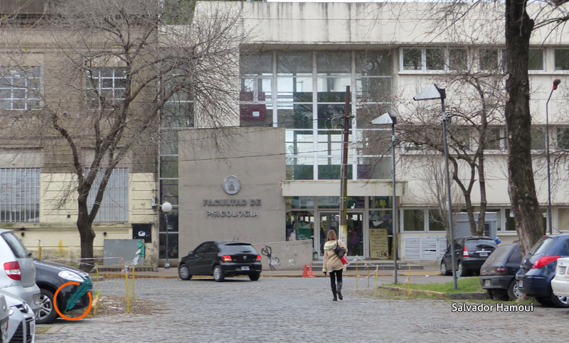 Dictaminan la inmediata convocatoria a elecciones en la Facultad de Psicología