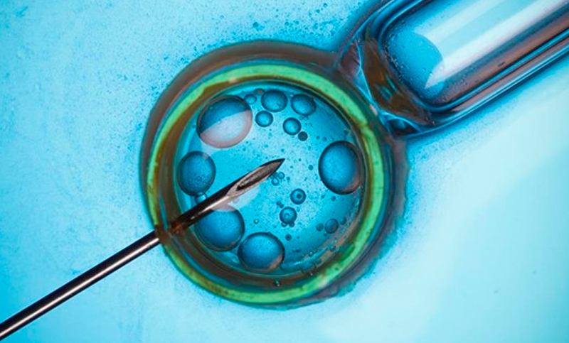 «Las personas que nacen por Técnicas de Reproducción Asistida tienen derecho a conocer su origen»