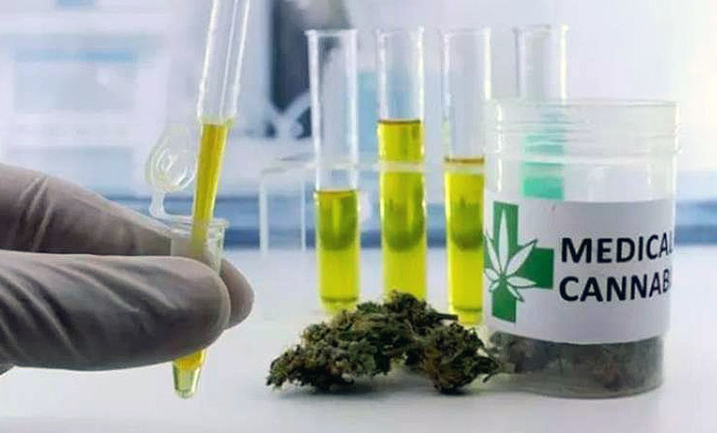 Confirman sentencia en favor de una paciente a quien deben proveerle cannabis medicinal