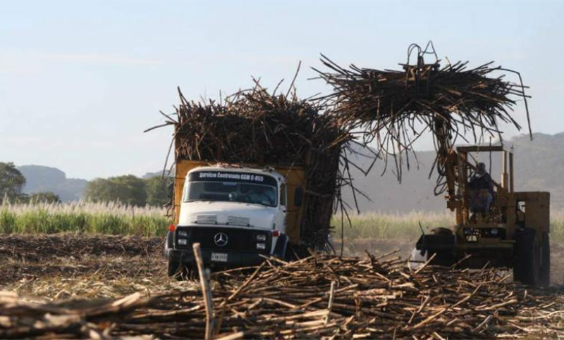 La industria azucarera atraviesa un «terremoto» financiero y económico