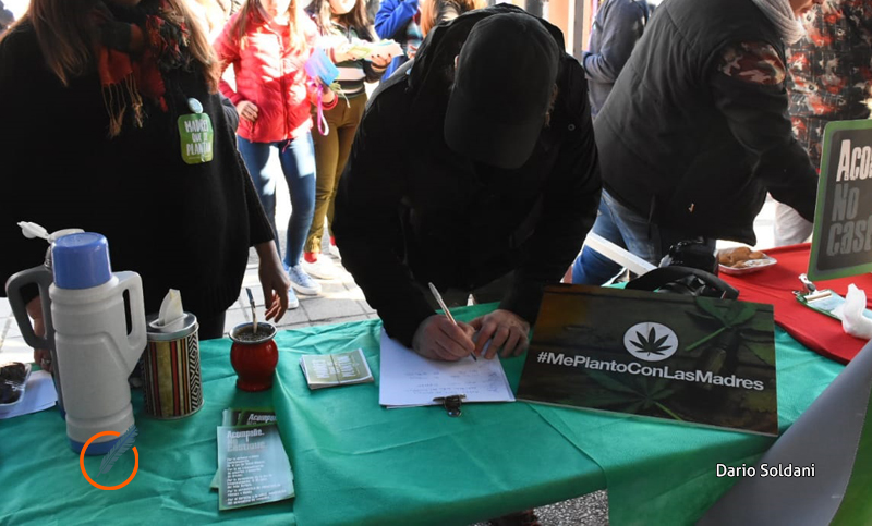 Las Madres que se Plantan recolectaron miles de firmas en apoyo a su lucha