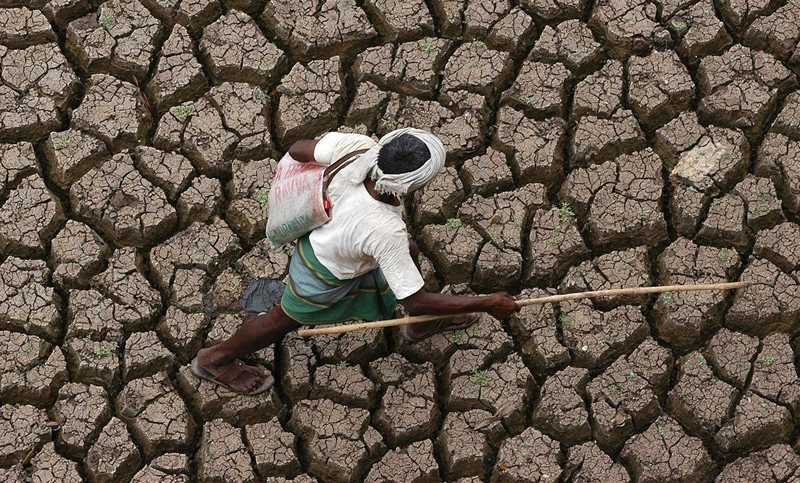 Drama en la India: una ola de calor dejó 78 muertos