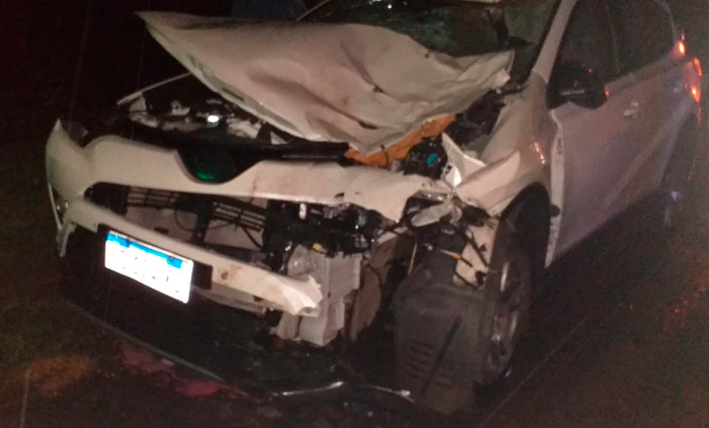Tres vehículos y un caballo protagonizaron fuerte siniestro en la autopista Rosario – Santa Fe
