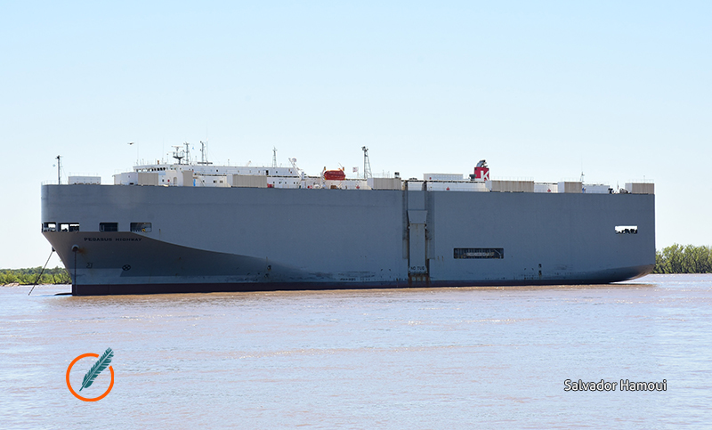 Riesgo fitosanitario: alertan que no hay más control en barcos que ingresan al puerto