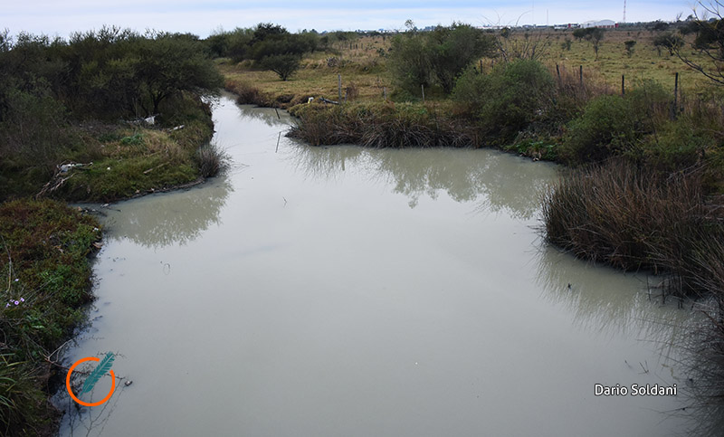 Vecinos de la zona sur de Rosario en alerta por una severa contaminación