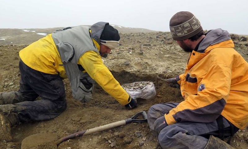 Encontraron en la Antártida restos de un reptil similar al “Monstruo del Lago Ness”