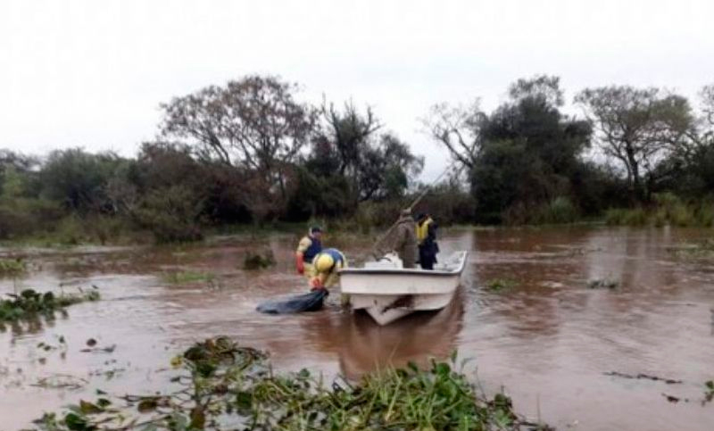 El cuerpo mutilado en el Paraná es de la joven desaparecida en Chaco